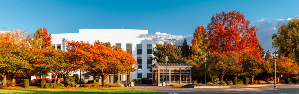 Salem's Autumn