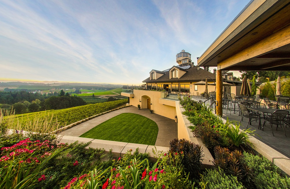 Vineyard Near Me Turner Oregon