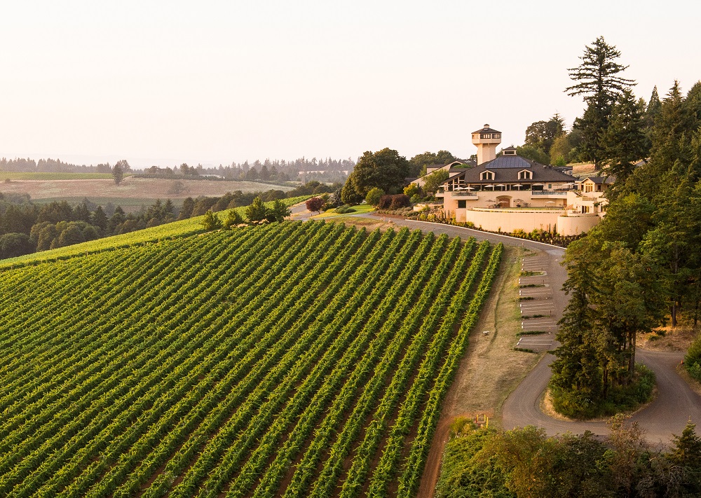 Vineyard Turner Oregon