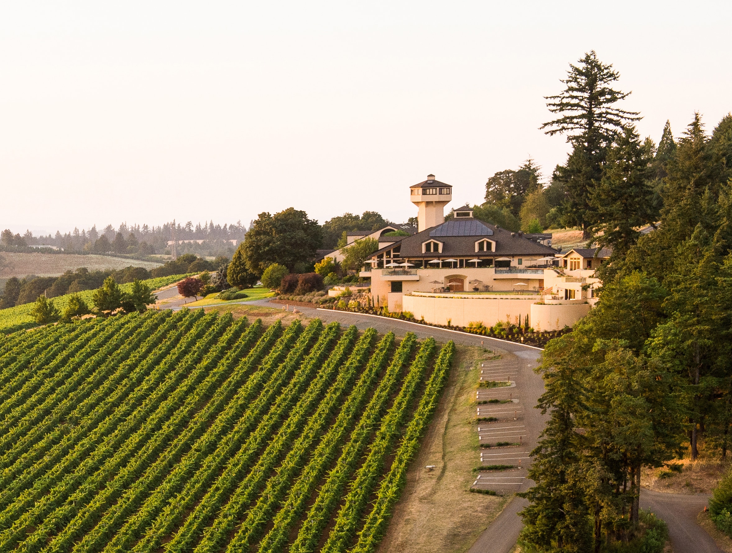 Willamette Valley Vineyards Project